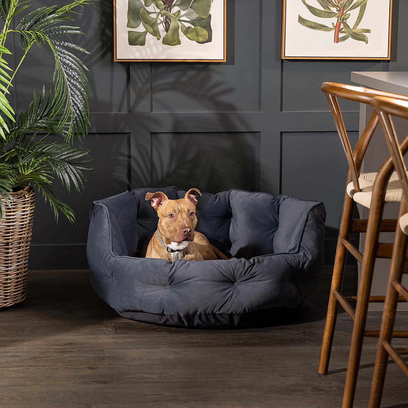 Bunty Pets Monarch Pet Bed