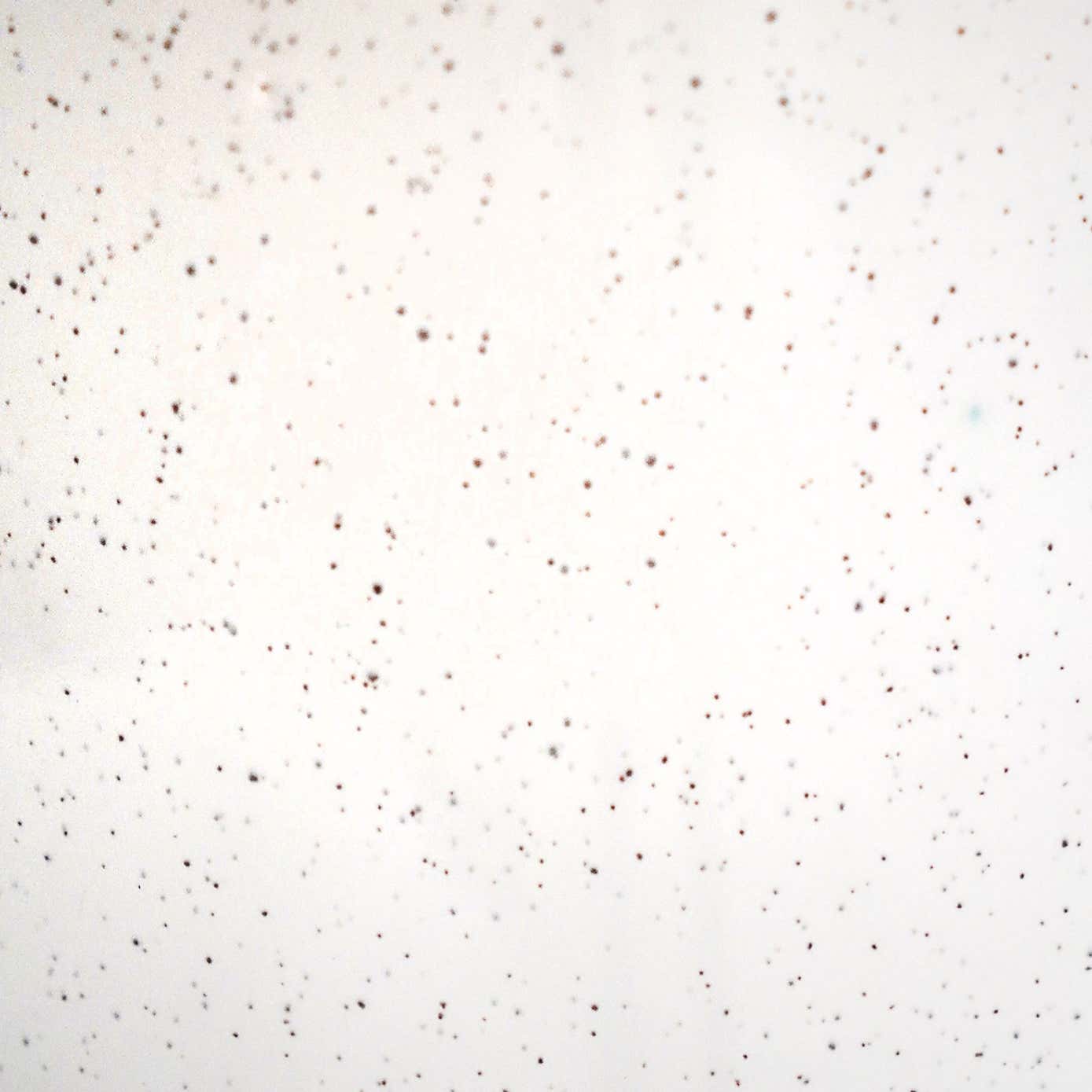 Lecce Speckled Plant Pot