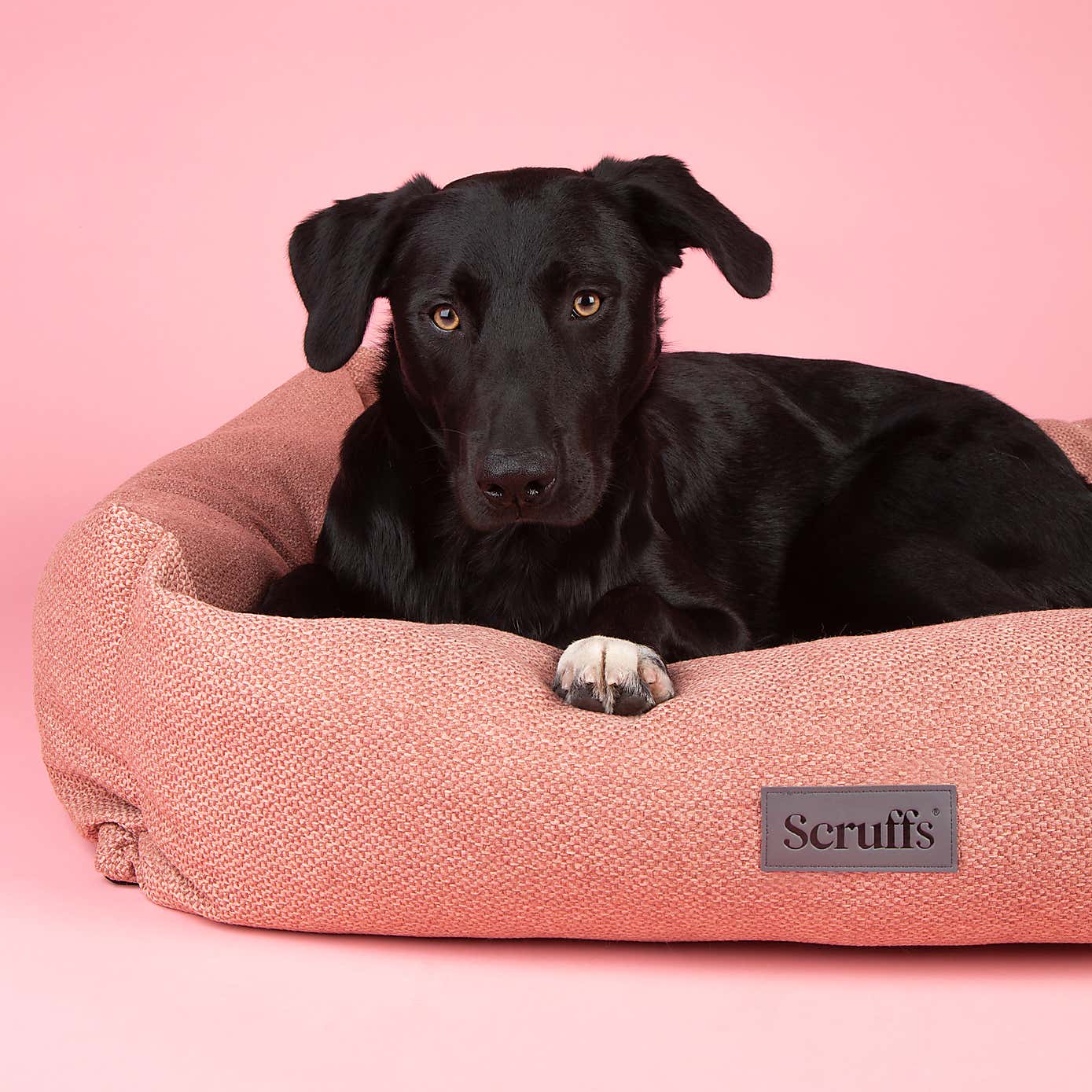 Scruffs Seattle Box Bed