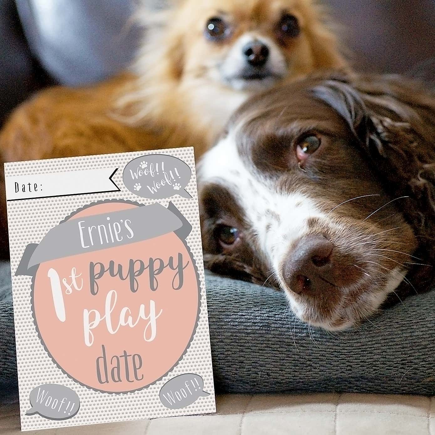 Personalised Puppy Cards Milestone Moments
