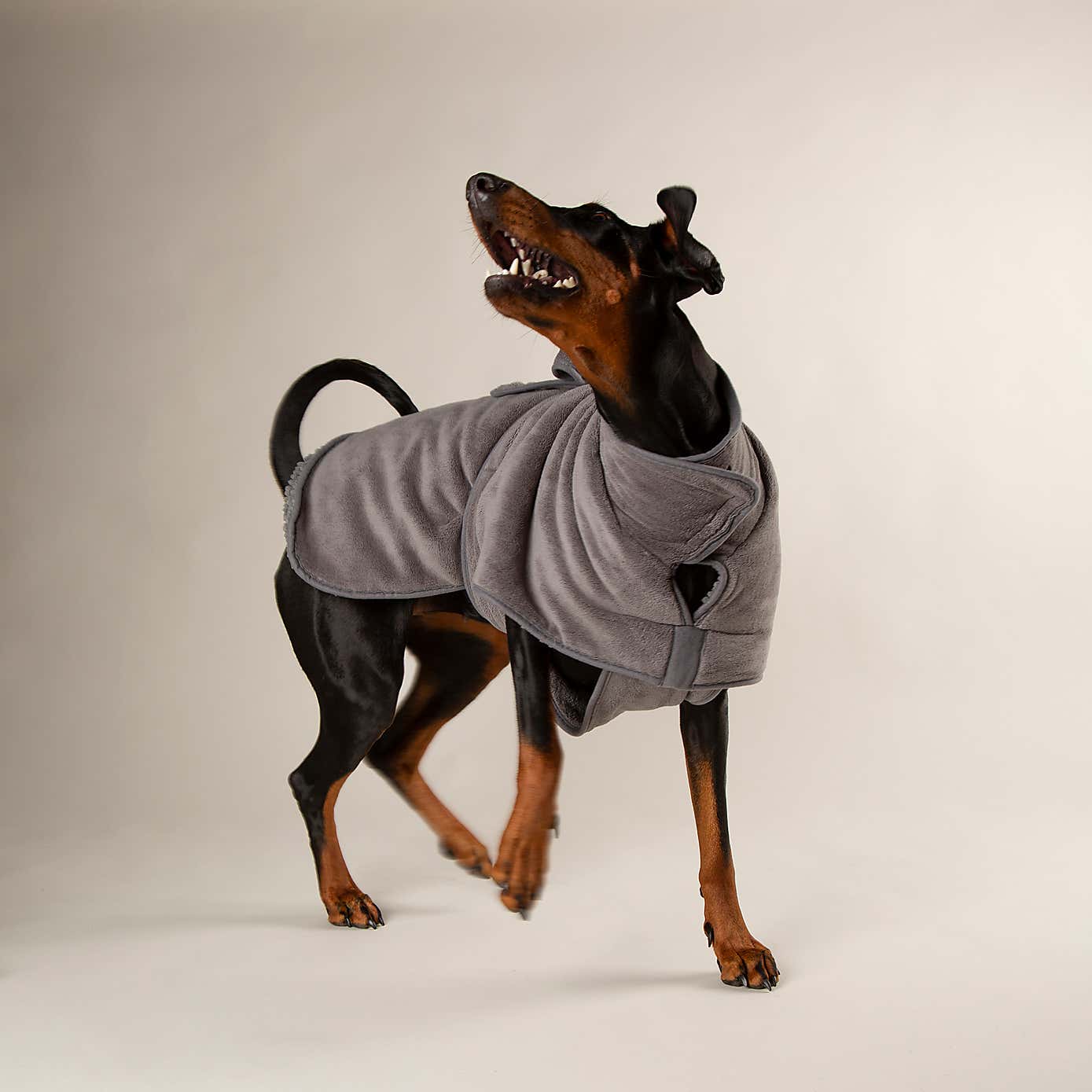 Scruffs Expedition Dog Drying Robe