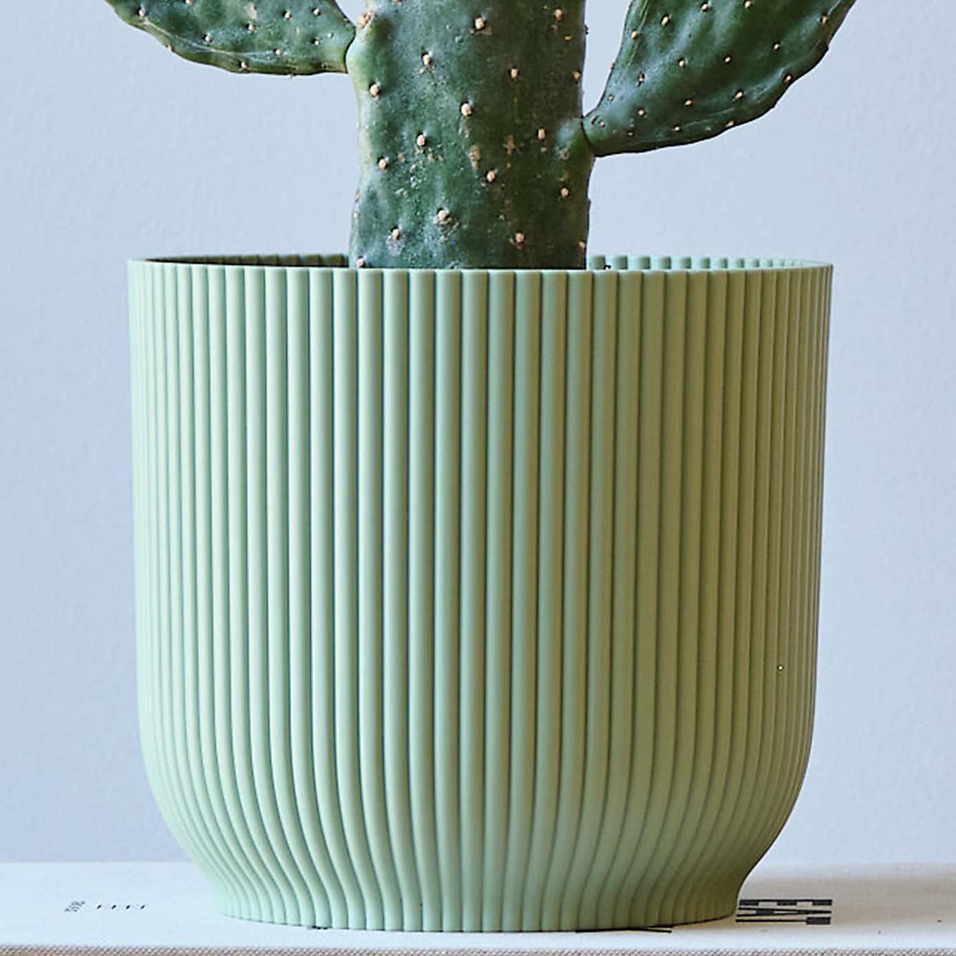 Cowboy Cactus House Plant in Elho Pot