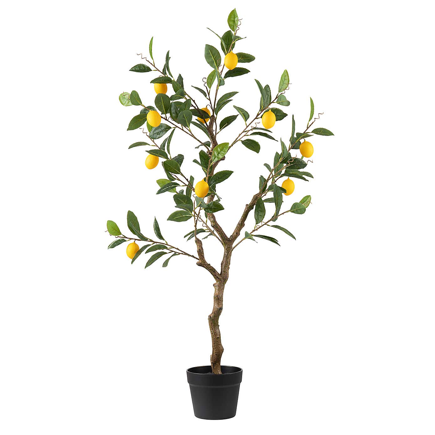 Artificial Lemon Tree in Black Plastic Plant Pot