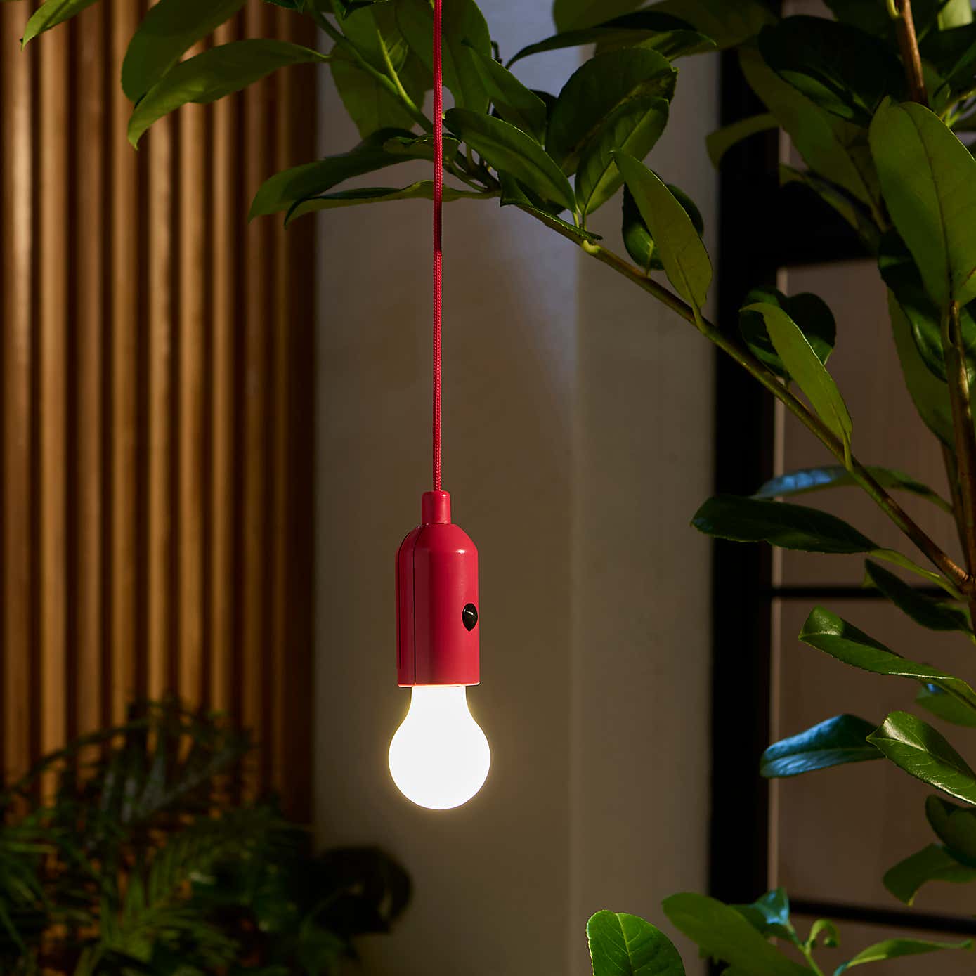 Rope Hanging LED Indoor Outdoor Light