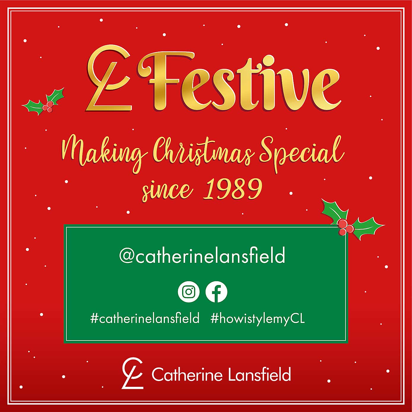 Catherine Lansfield Party Robins Duvet Cover and Pillowcase Set