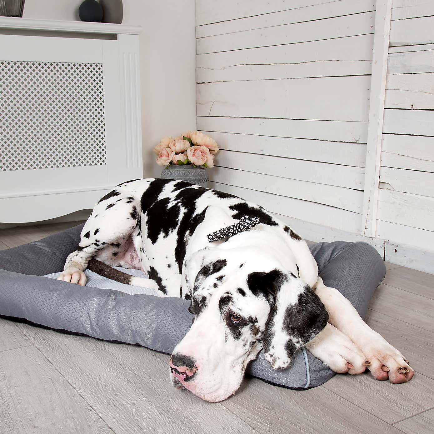 Scruffs Dog Cool Bed
