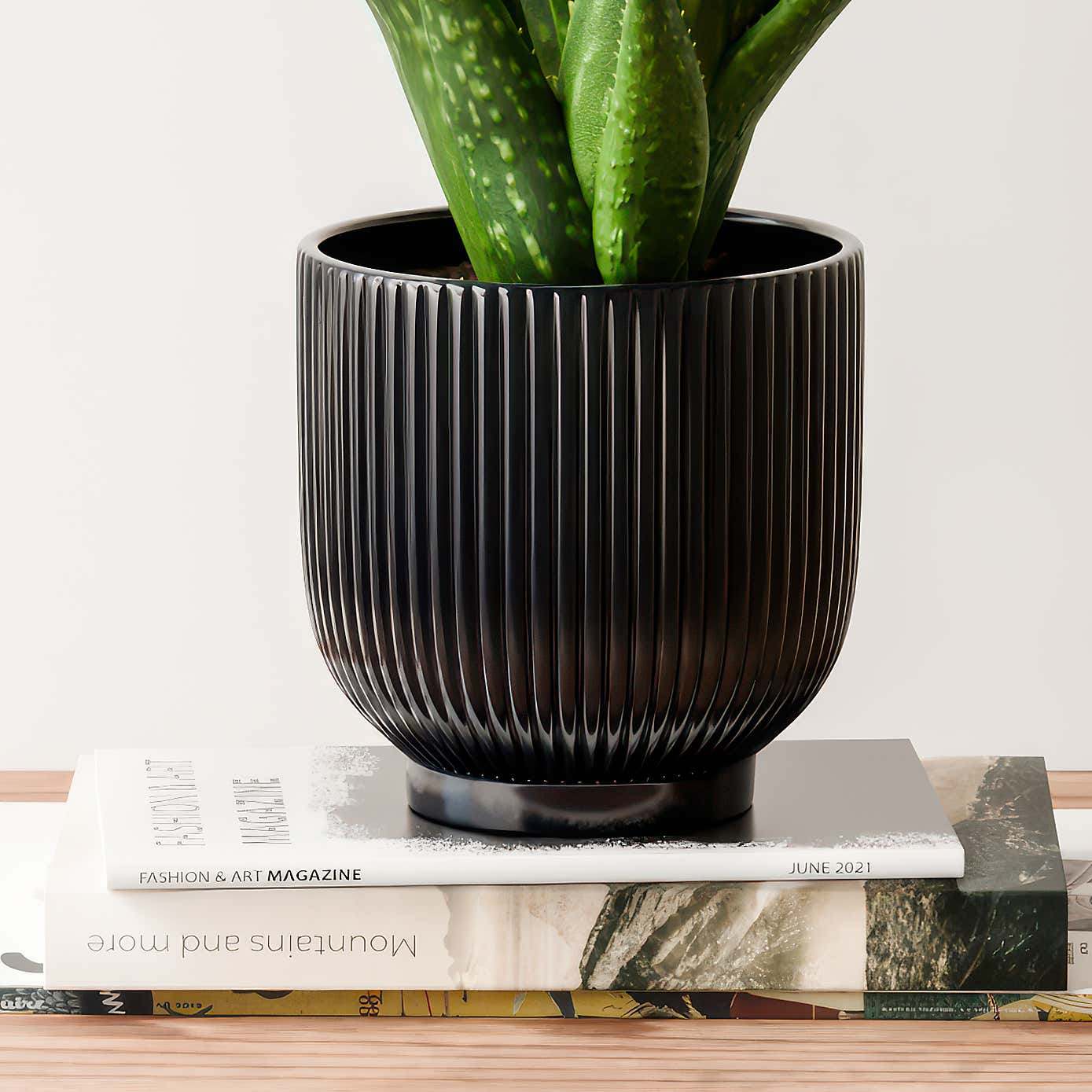 Aloe Vera House Plant in Ribbed Ceramic Pot