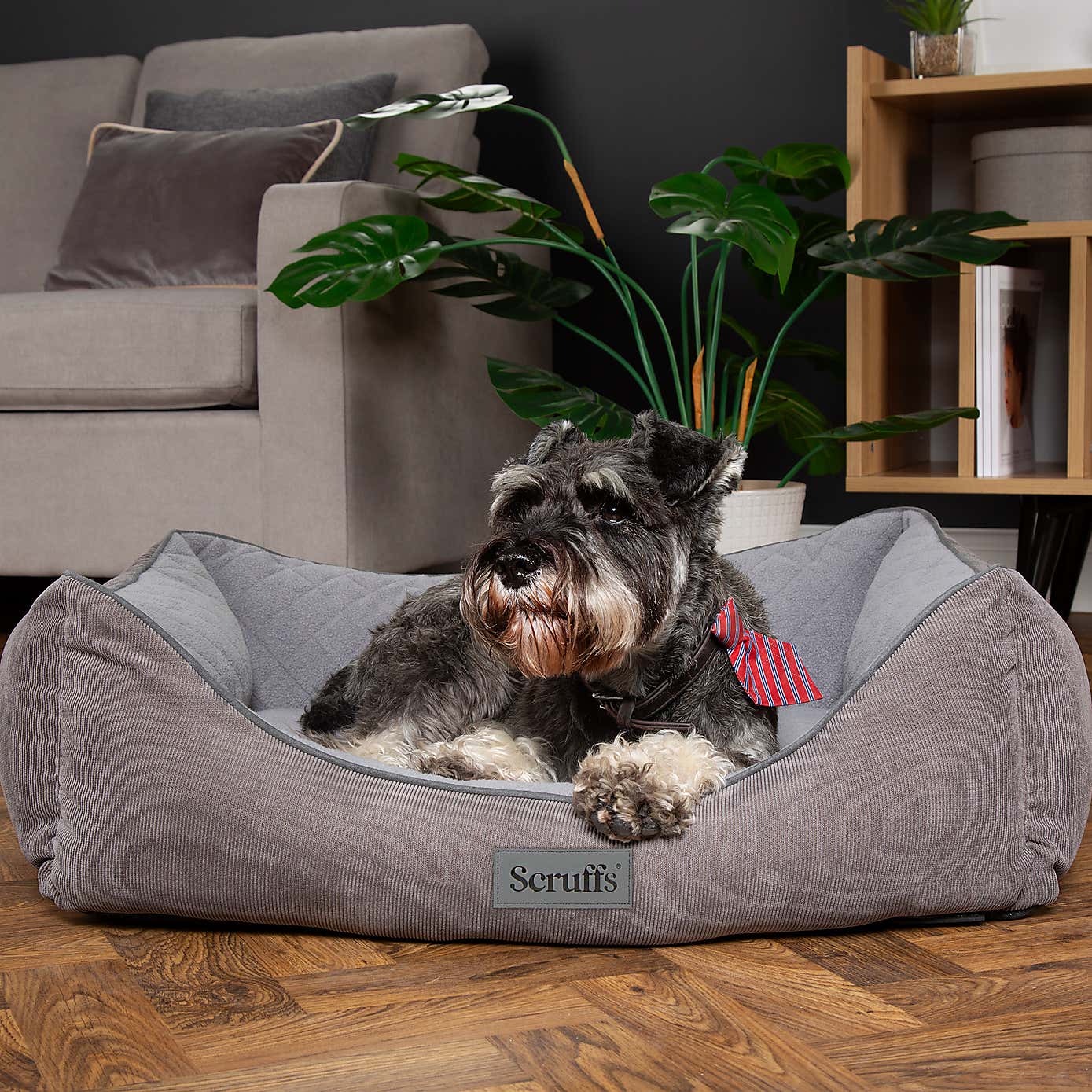 Scruffs Self Heating Thermal Dog Box Bed