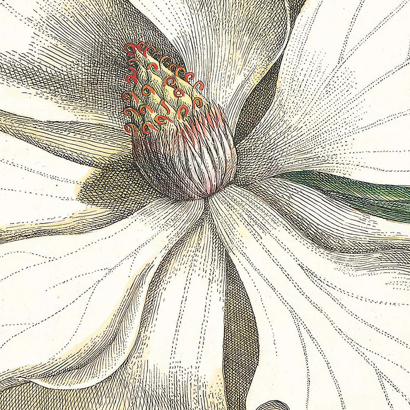 Cedar & Sage Laurel Tree Framed Canvas