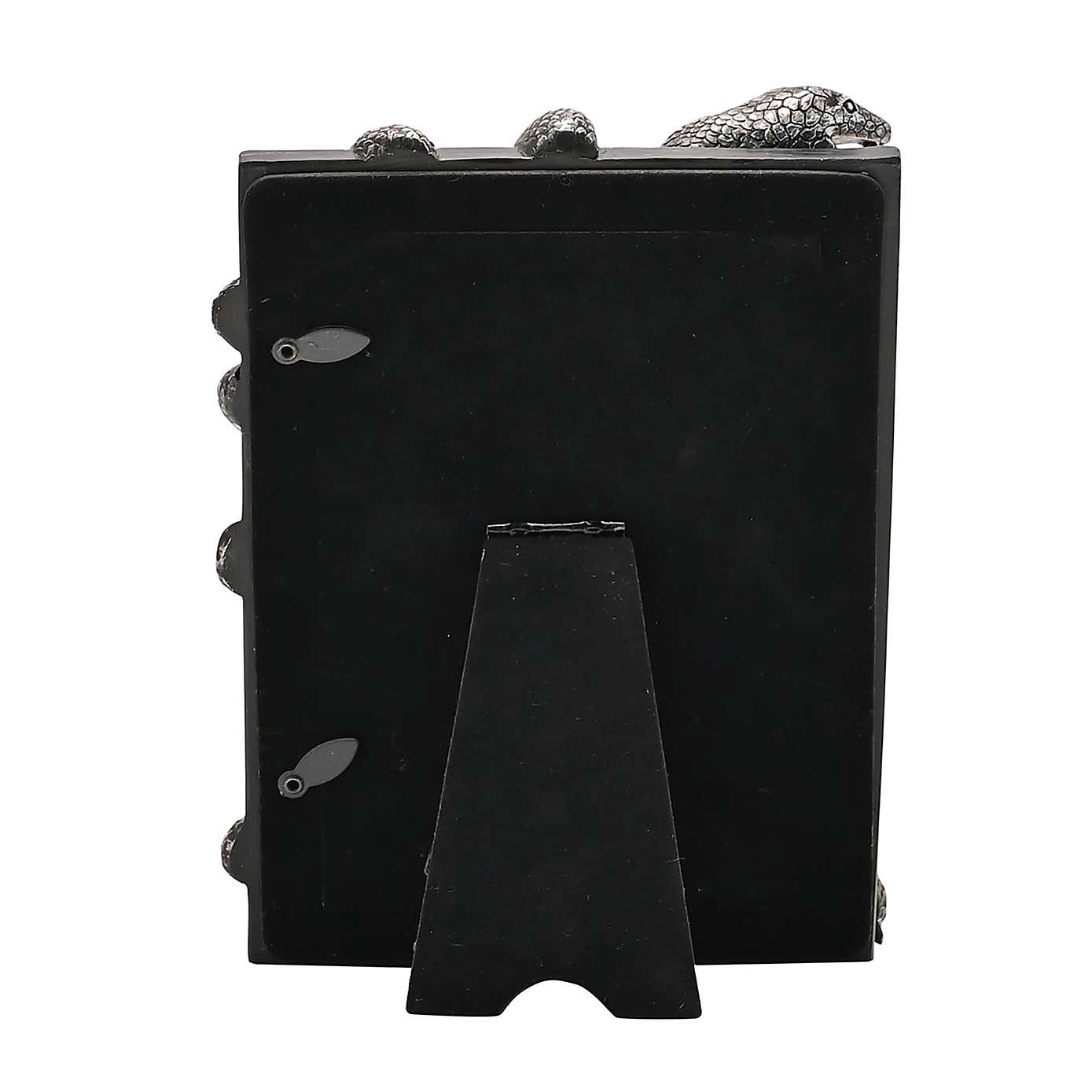 Harry Potter Nagini Photo Frame