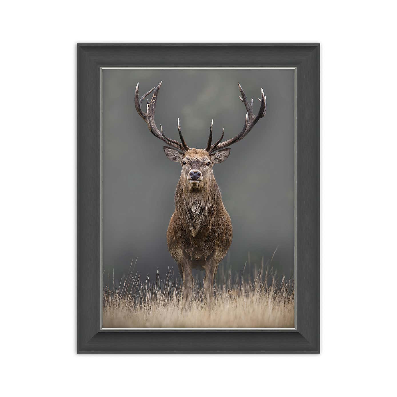 Lord of the Manor Stag Framed Print