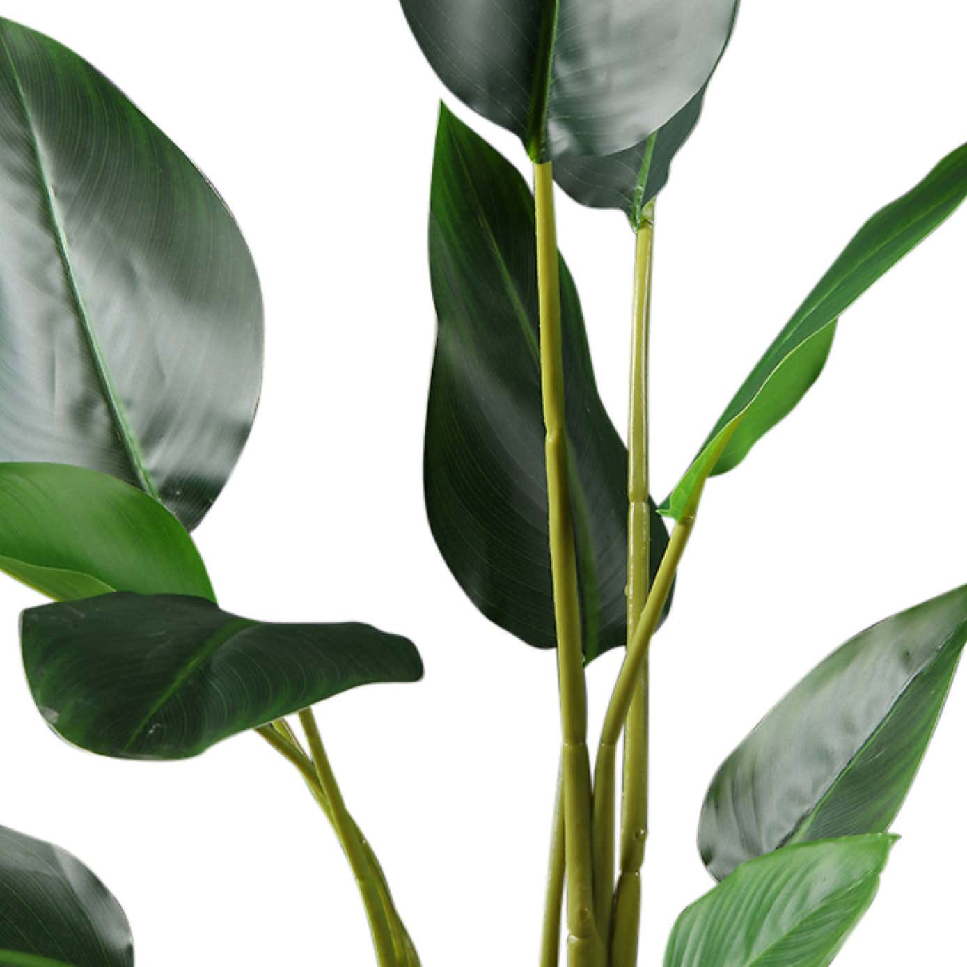 Artificial Real Touch Bird of Paradise Plant in Black Plant Pot