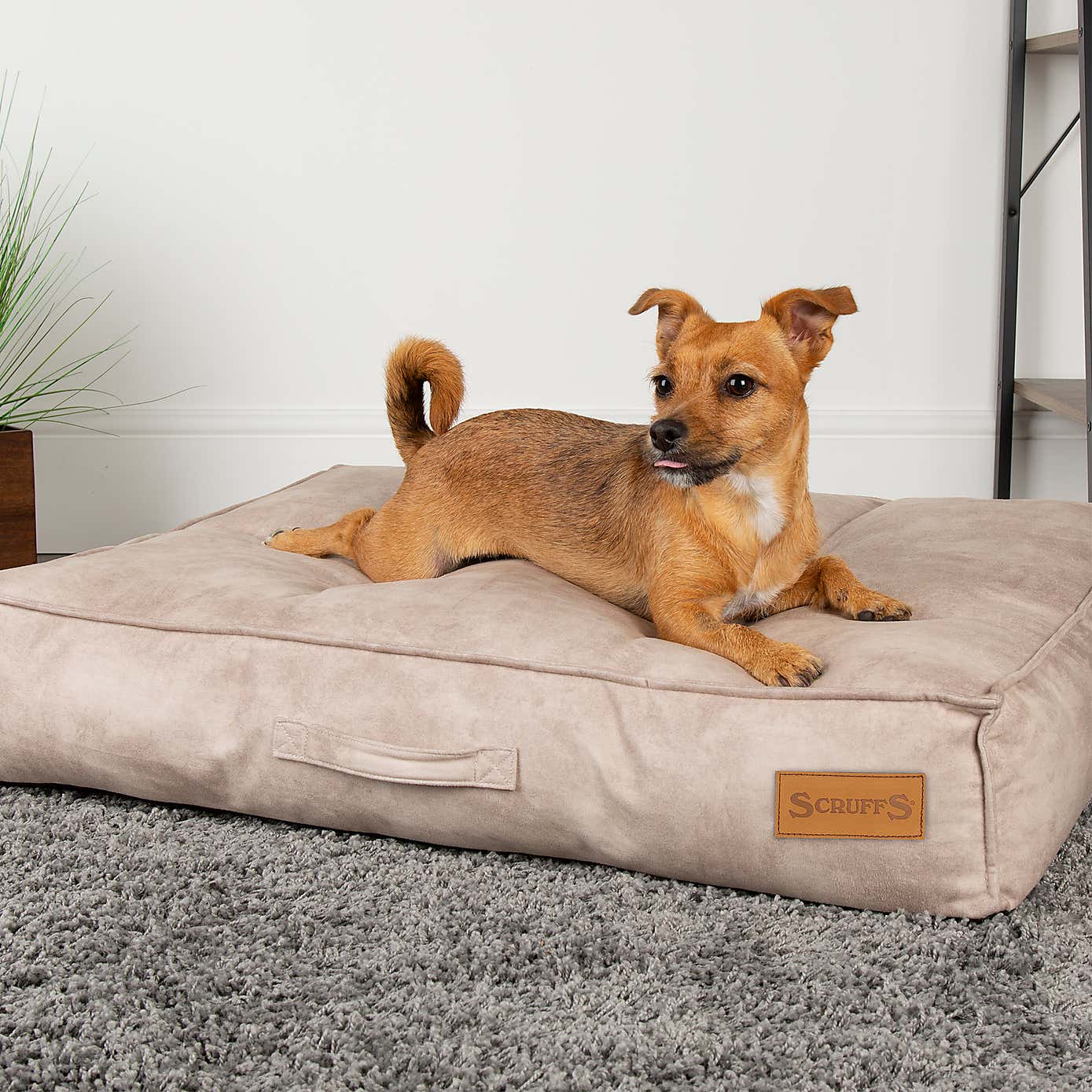 Scruffs Kensington Mattress Pet Bed