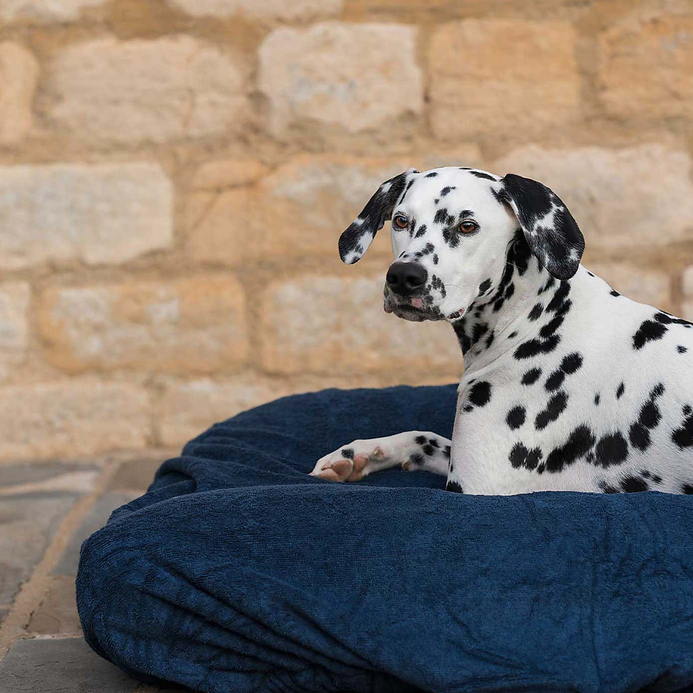 Lords and Labradors Bamboo Dog Drying Cushion Cover