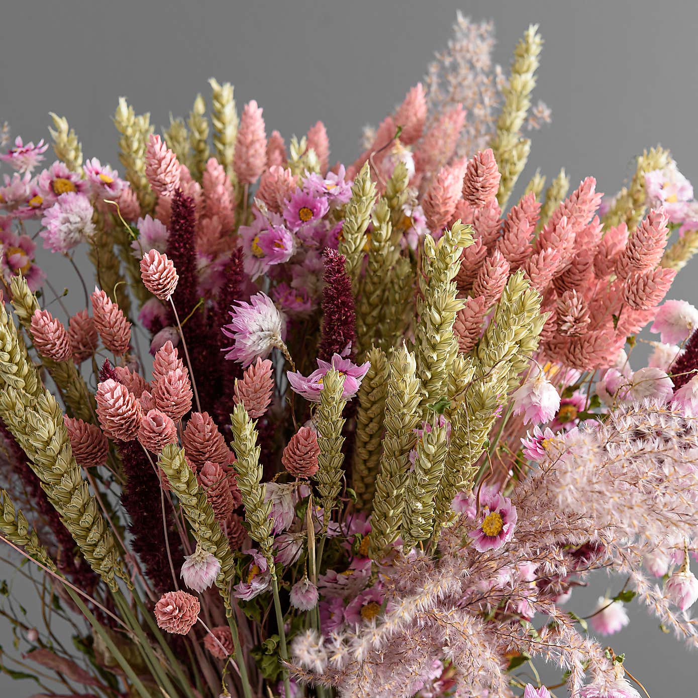 Dried Pink Phalaris Bouquet