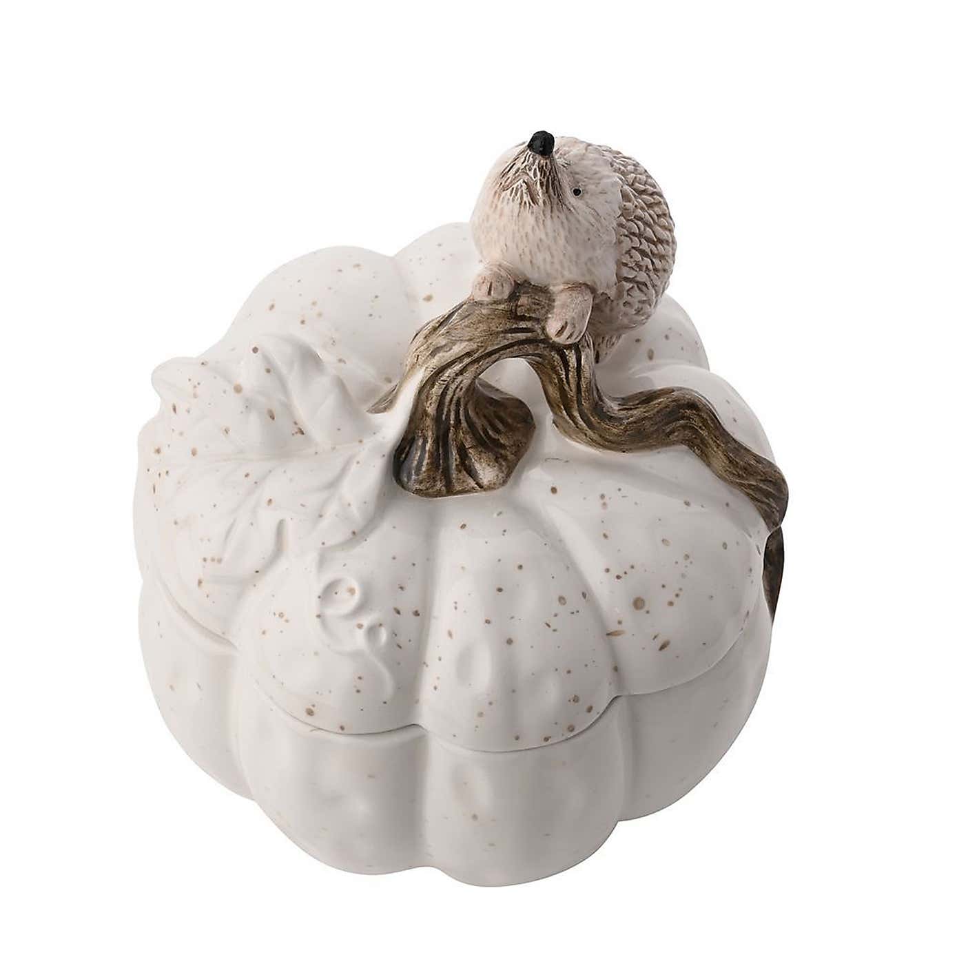 Country Living Ceramic Hedgehog Storage Pot