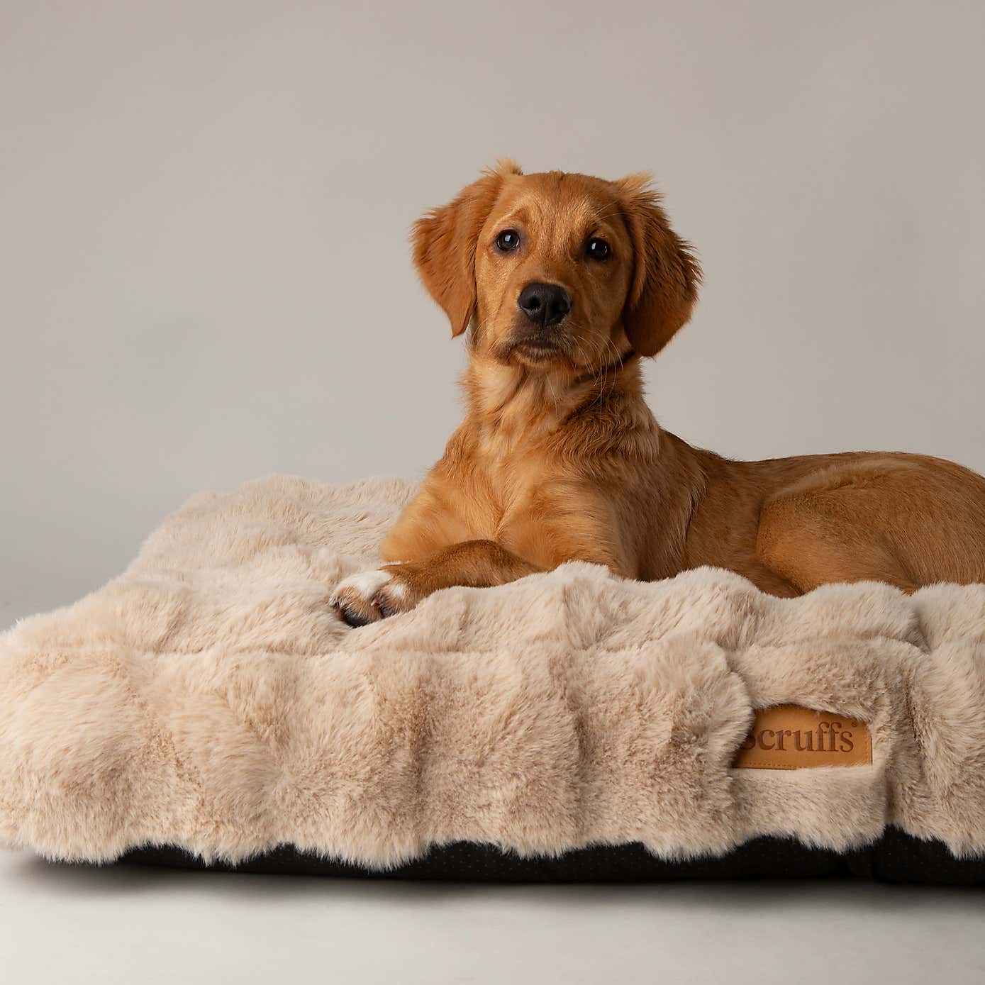 Scruffs Luxurious Alpine Dog Mattress