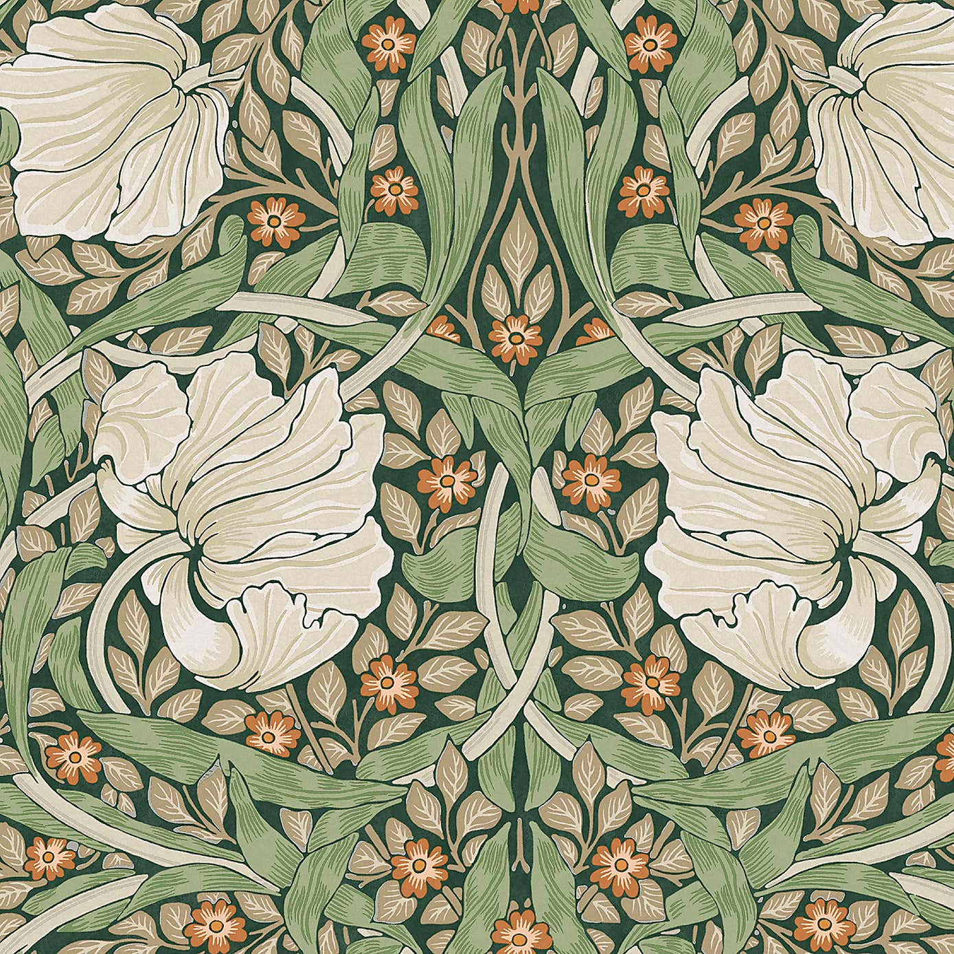 Pimpernel Wallpaper