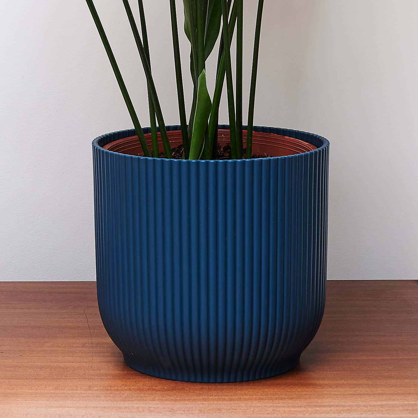 Beards & Daisies Cast Iron House Plant in Vibes Pot