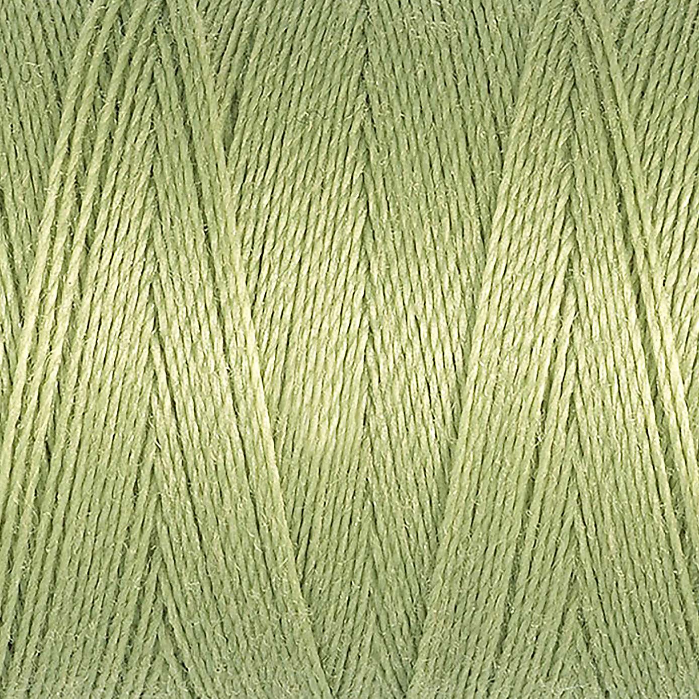 Gutermann Sew All Thread 100m Mist Green (282)