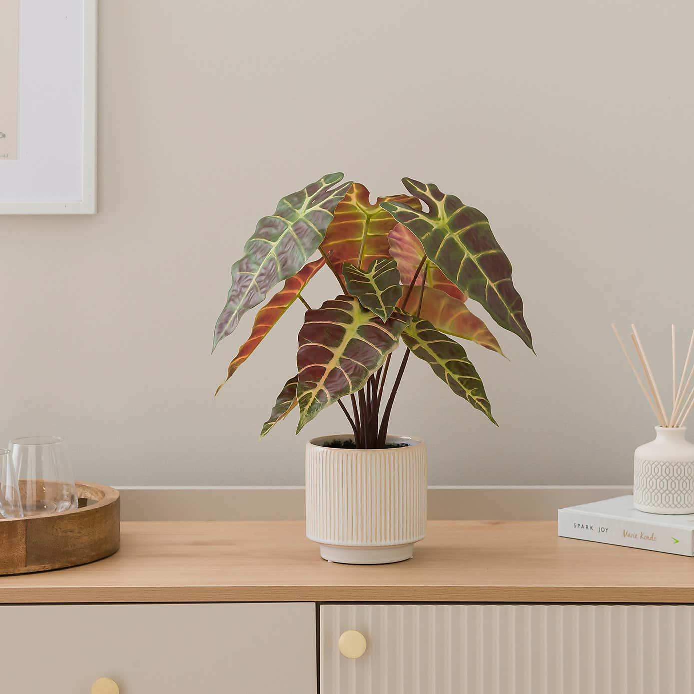 Artificial Alocasia in Ribbed Cream Ceramic Plant Pot