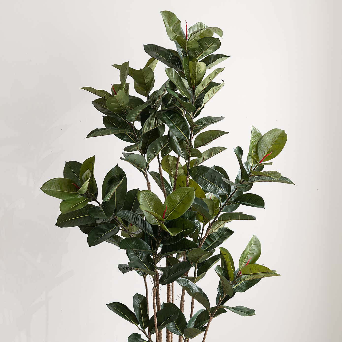 Artificial Rubber Tree in Black Plant Pot
