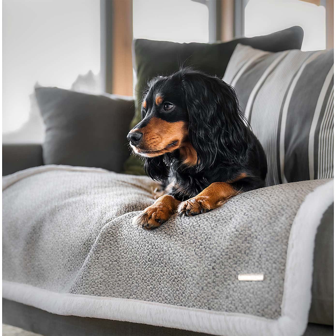 Lords and Labradors Essentials Herdwick Dog Blanket