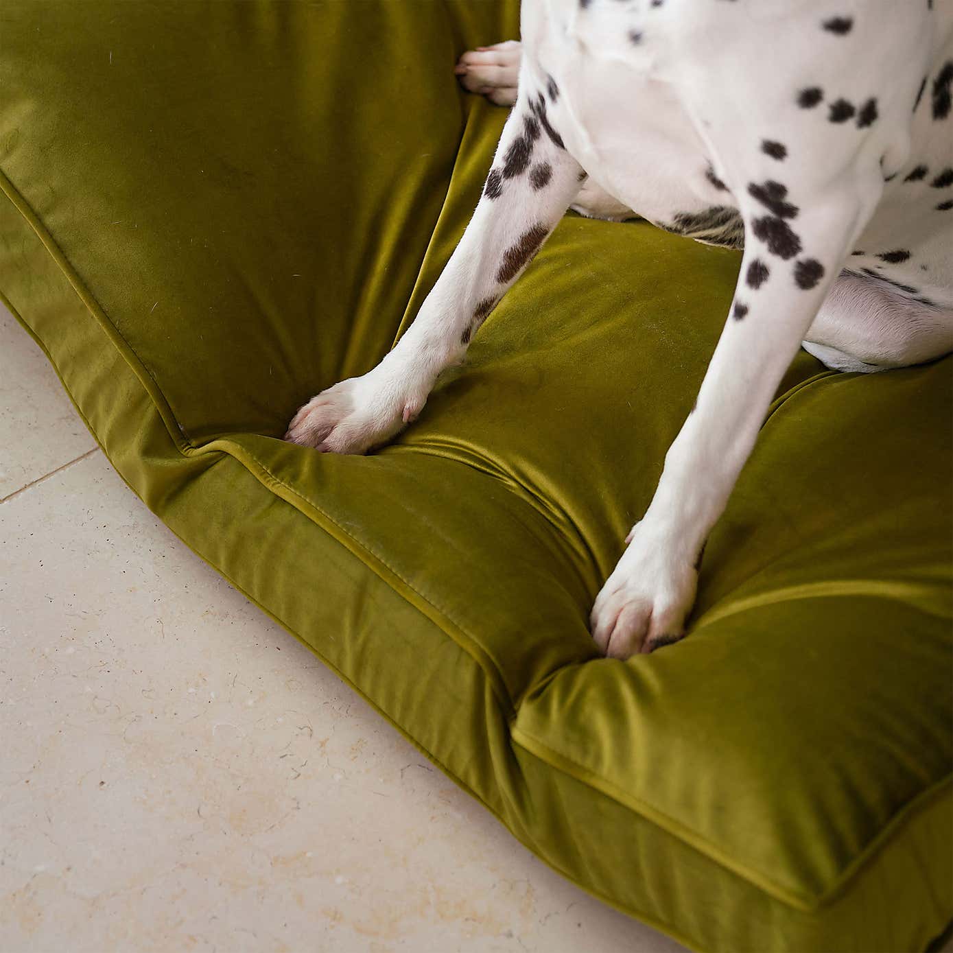 Lords and Labradors Velvet Dog Cushion