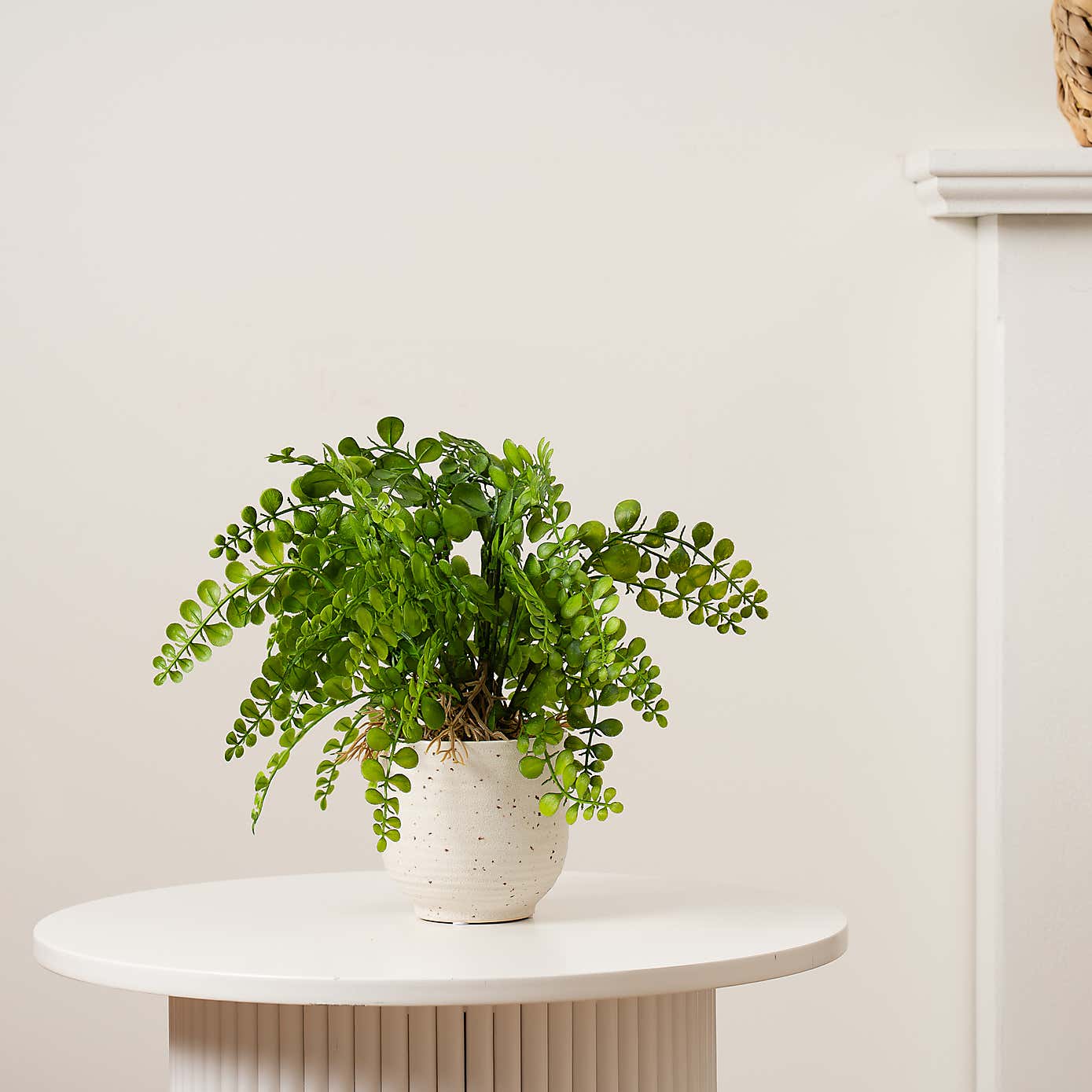 Artificial Fern in Speckled Ceramic Plant Pot