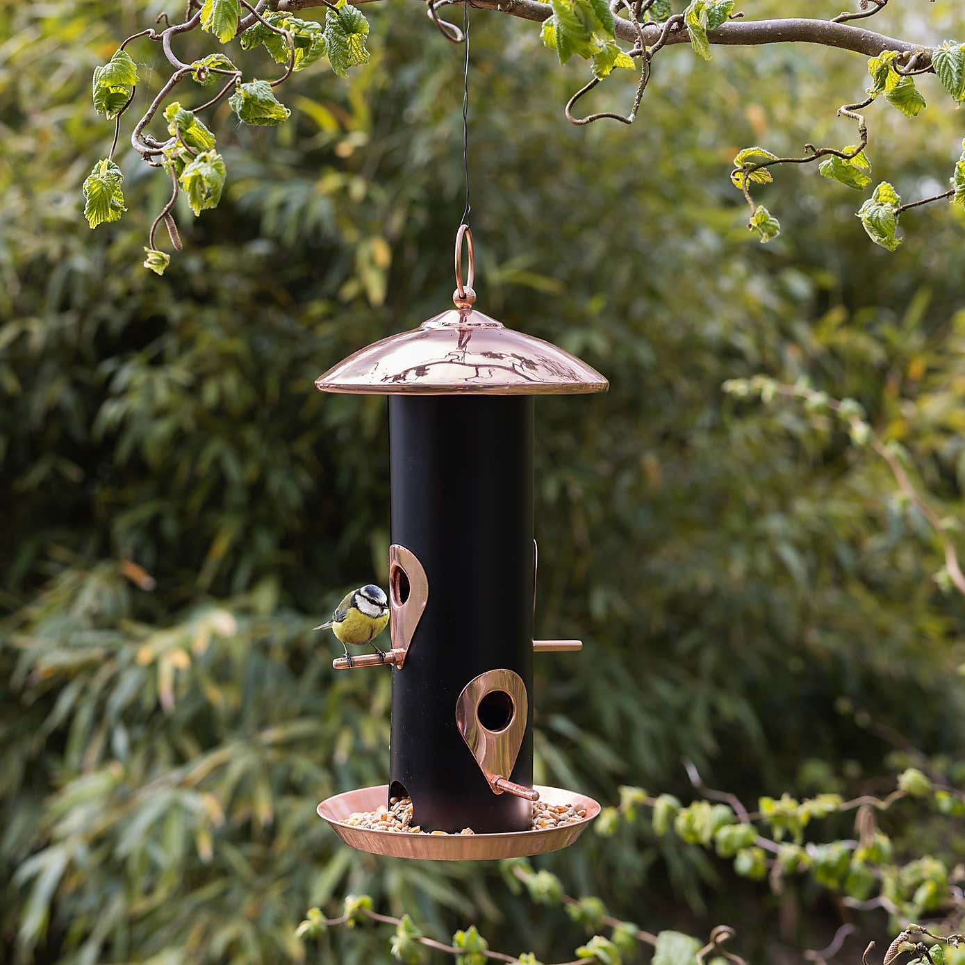 Fallen Fruits Black Copper Seed Dispenser