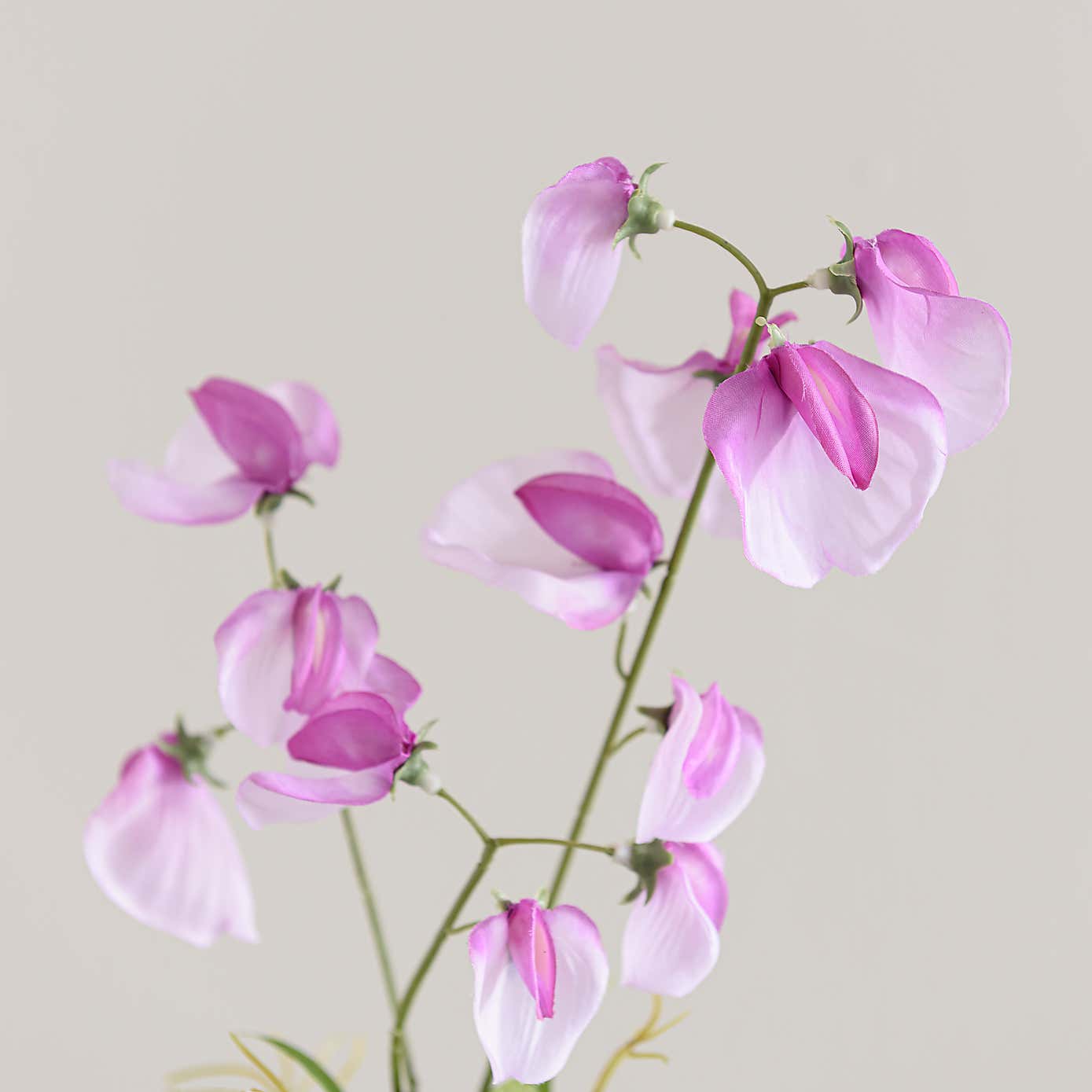 Artificial Sweet Pea Stem