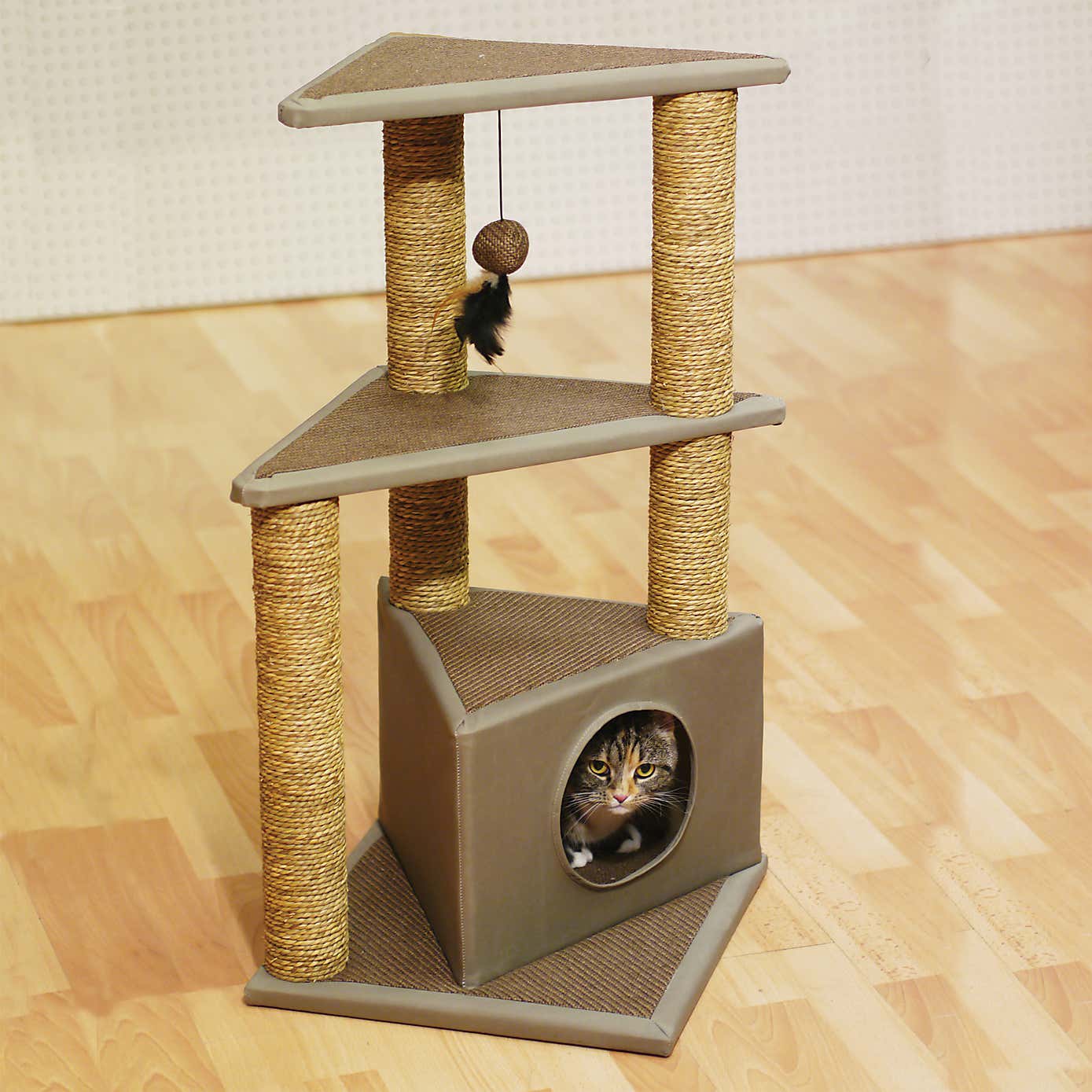 Rosewood Seattle Cat Post