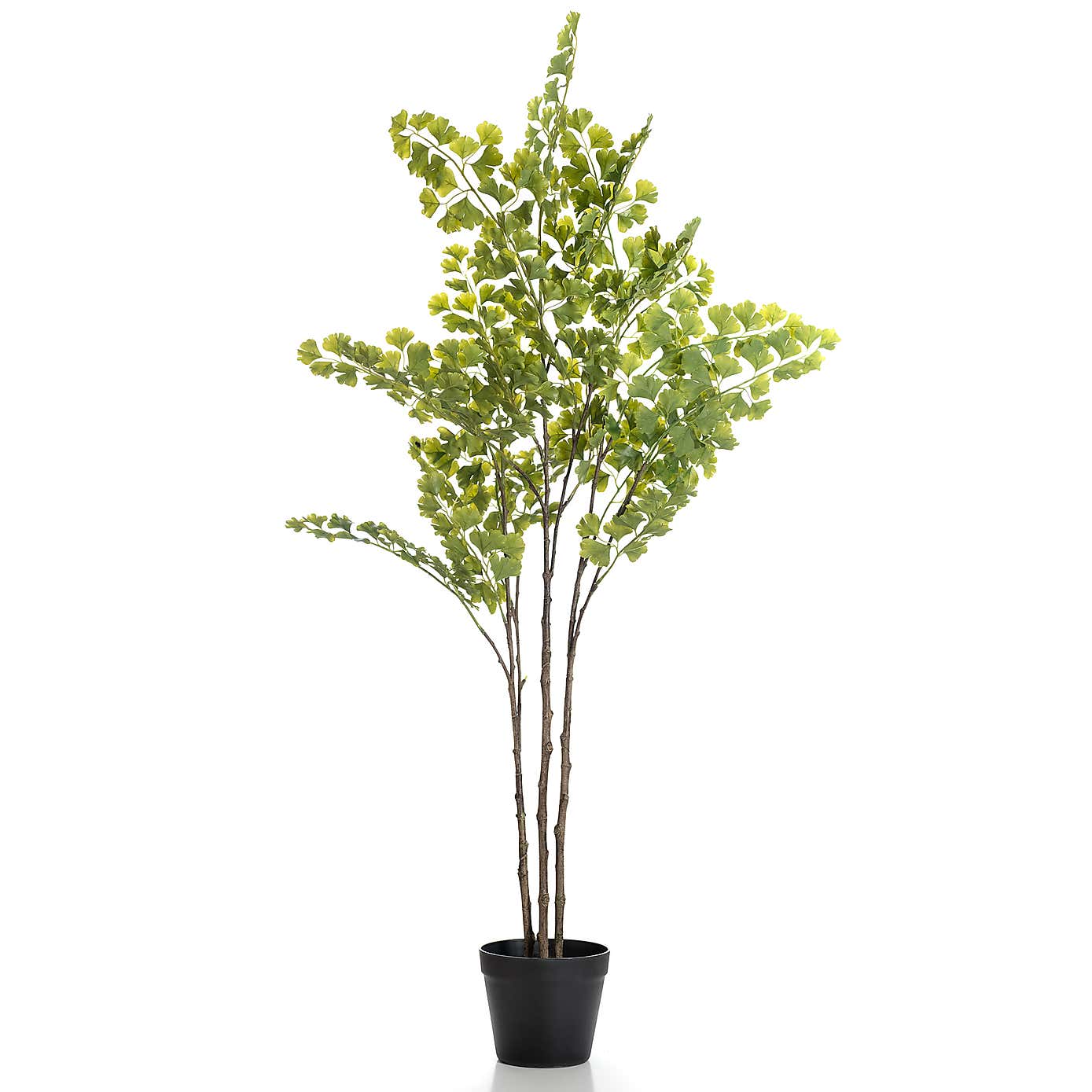 Artificial Mini Leaf Gingko Tree in Black Plant Pot