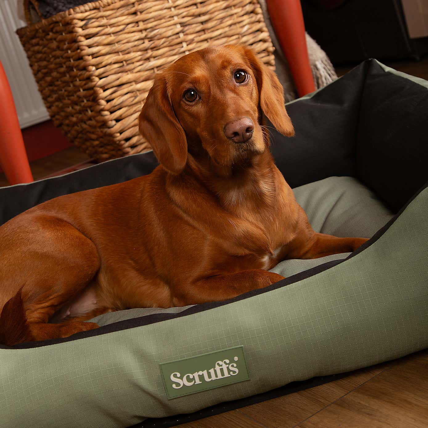 Scruffs Expedition Box Bed