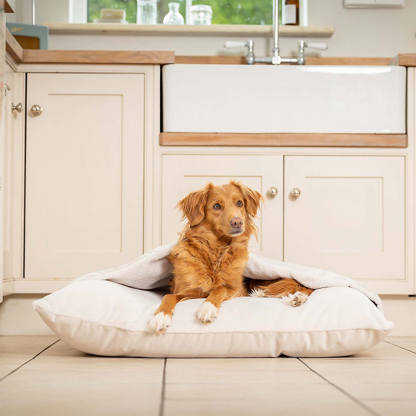 Lords and Labradors Burrow Dog Bed