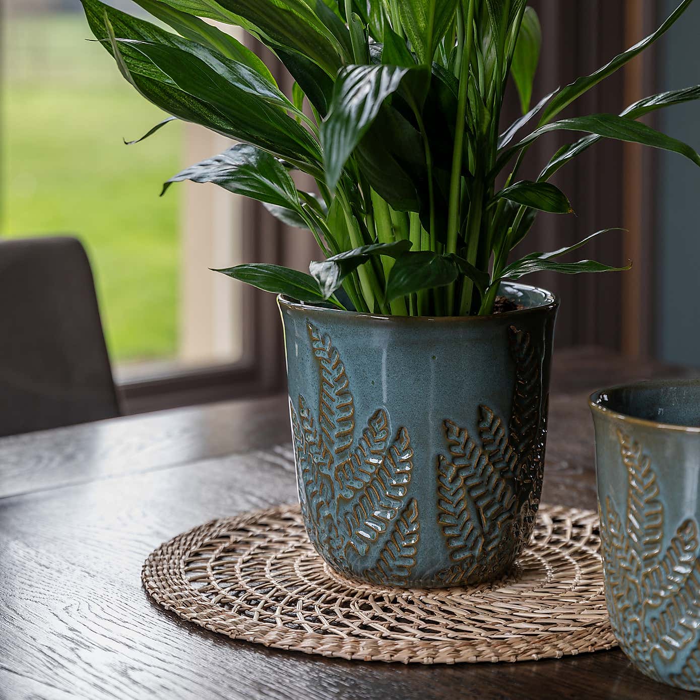 Kew Embossed Fern Planter