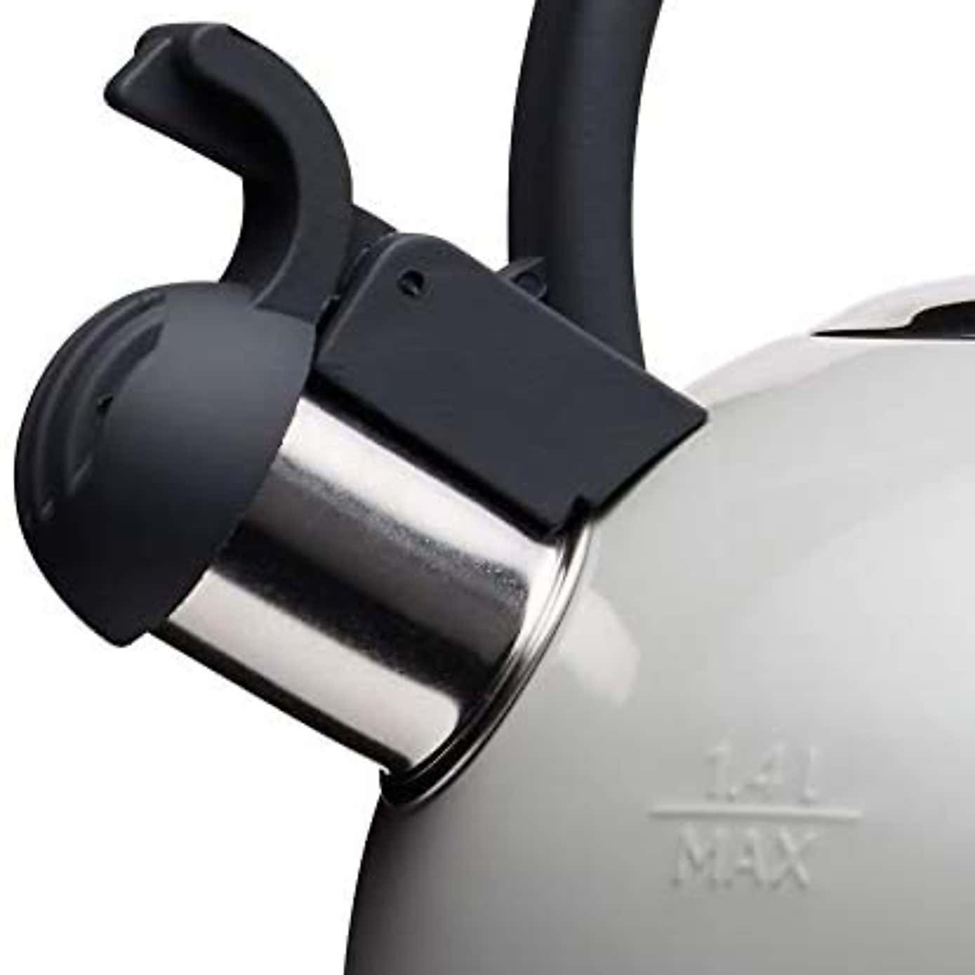 Stainless Steel Induction Hob Kettle with Whistle