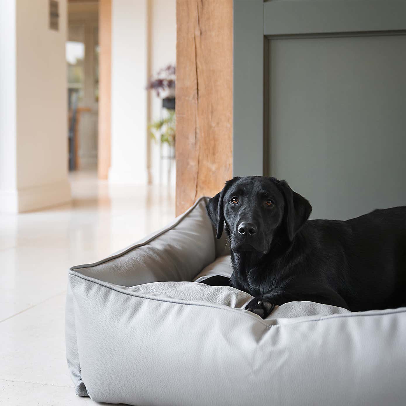 Lords and Labradors Rhino Leather Box Dog Bed