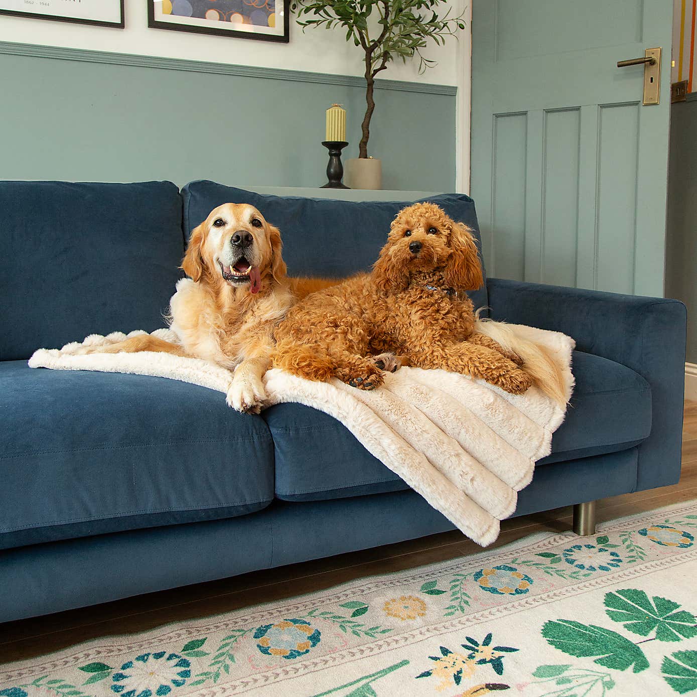 Scruffs Luxurious Aspen Pet Blanket