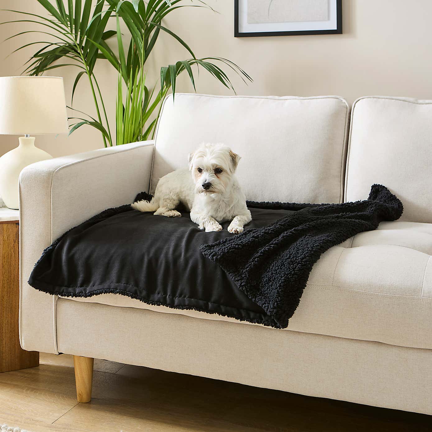 Soft & Cosy Pet Blanket