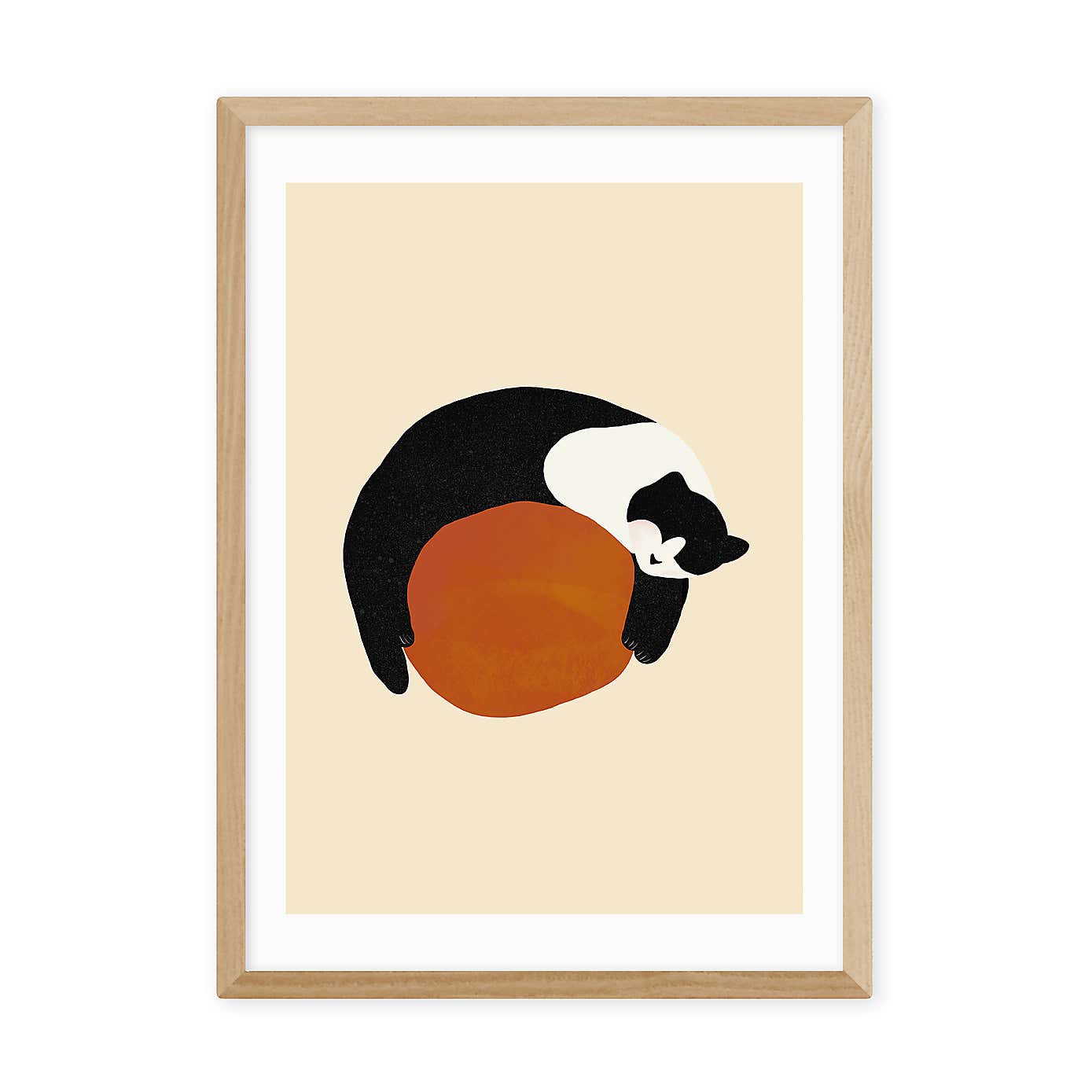 East End Prints Sleeping Cat Print by Sifa Mustafa
