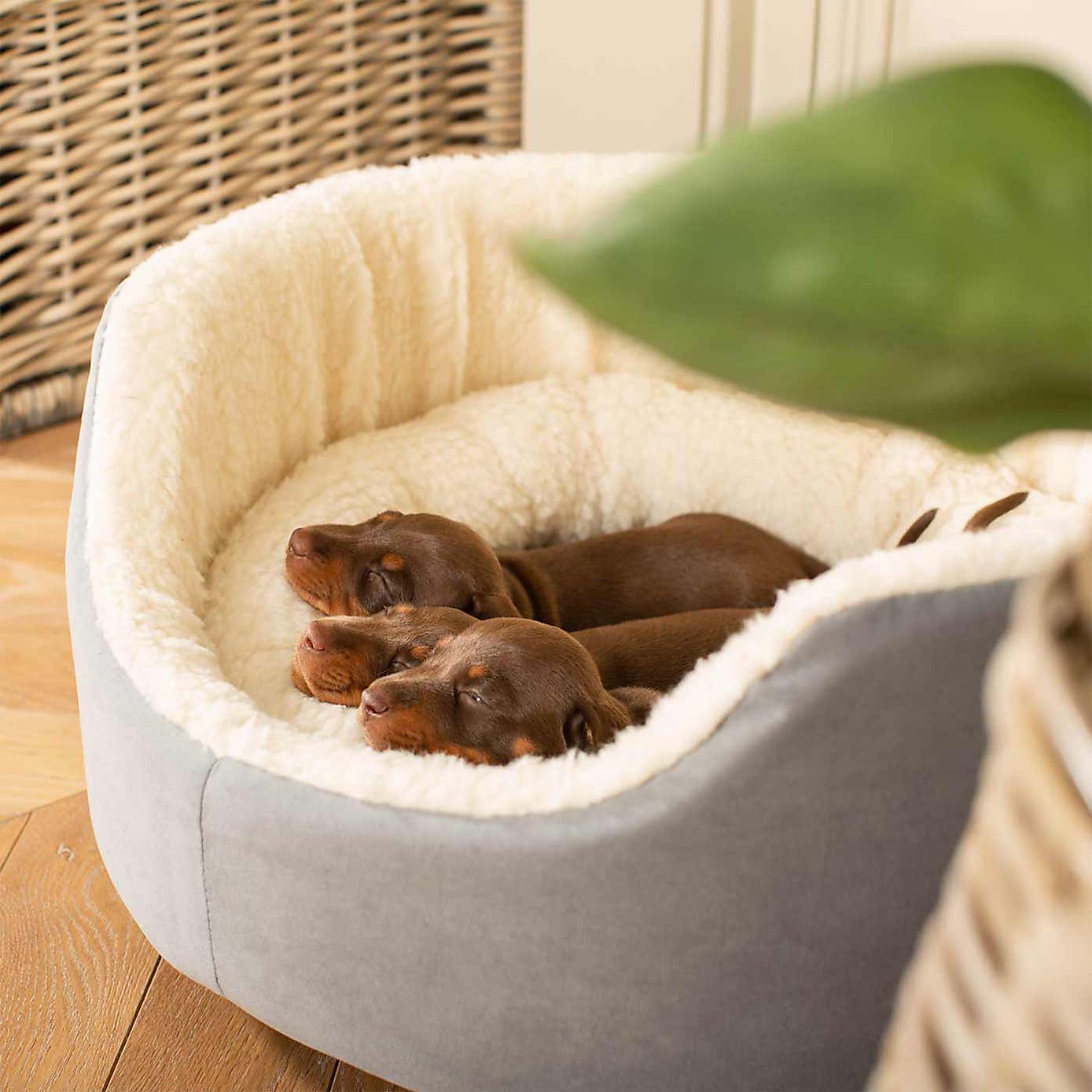 Lords and Labradors Grow With Me Puppy Bed