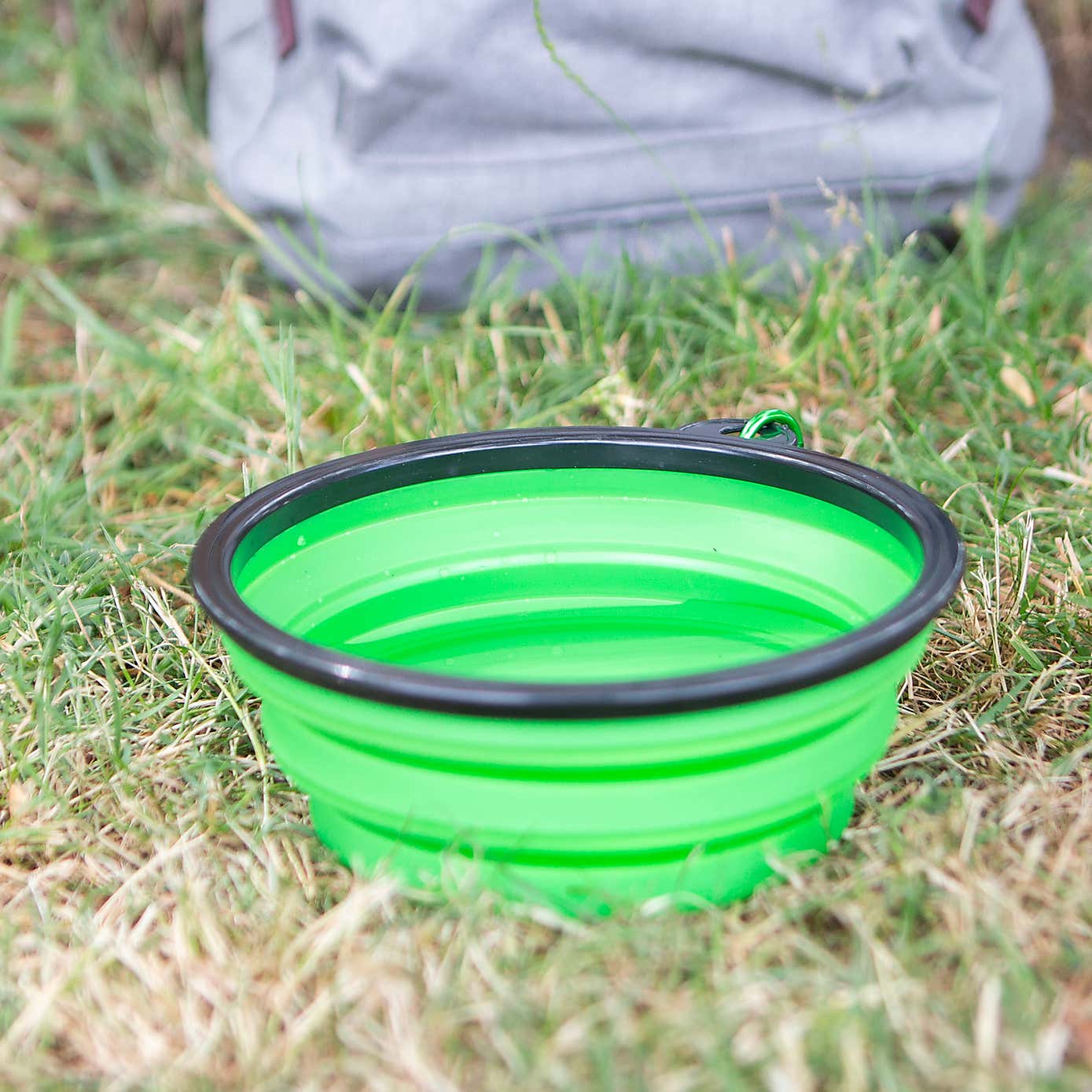 Crufts Collapsible 1L Pet Bowl with Hook