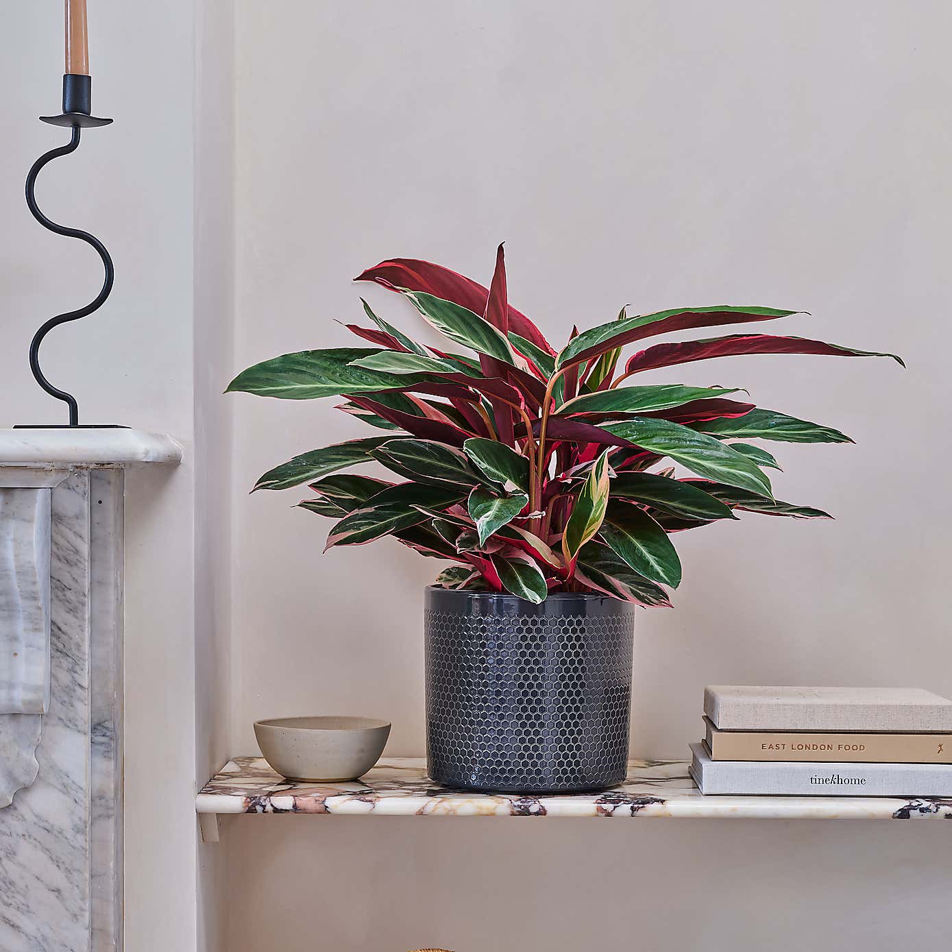 Beards and Daisies Capri Plant Pot