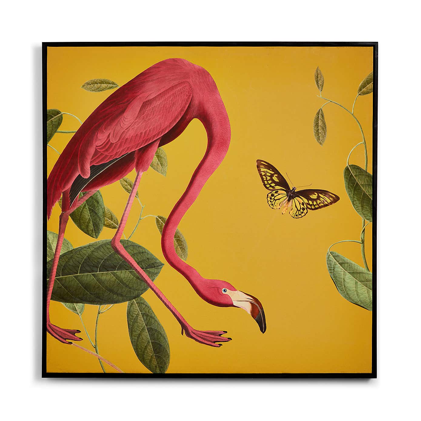 Flamingo Capped Canvas