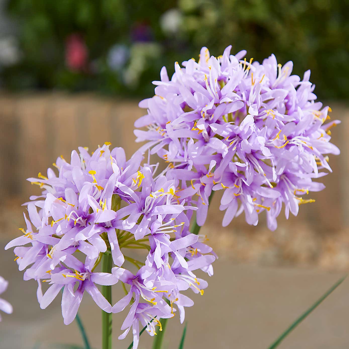 Artificial Purple Allium in White Pot