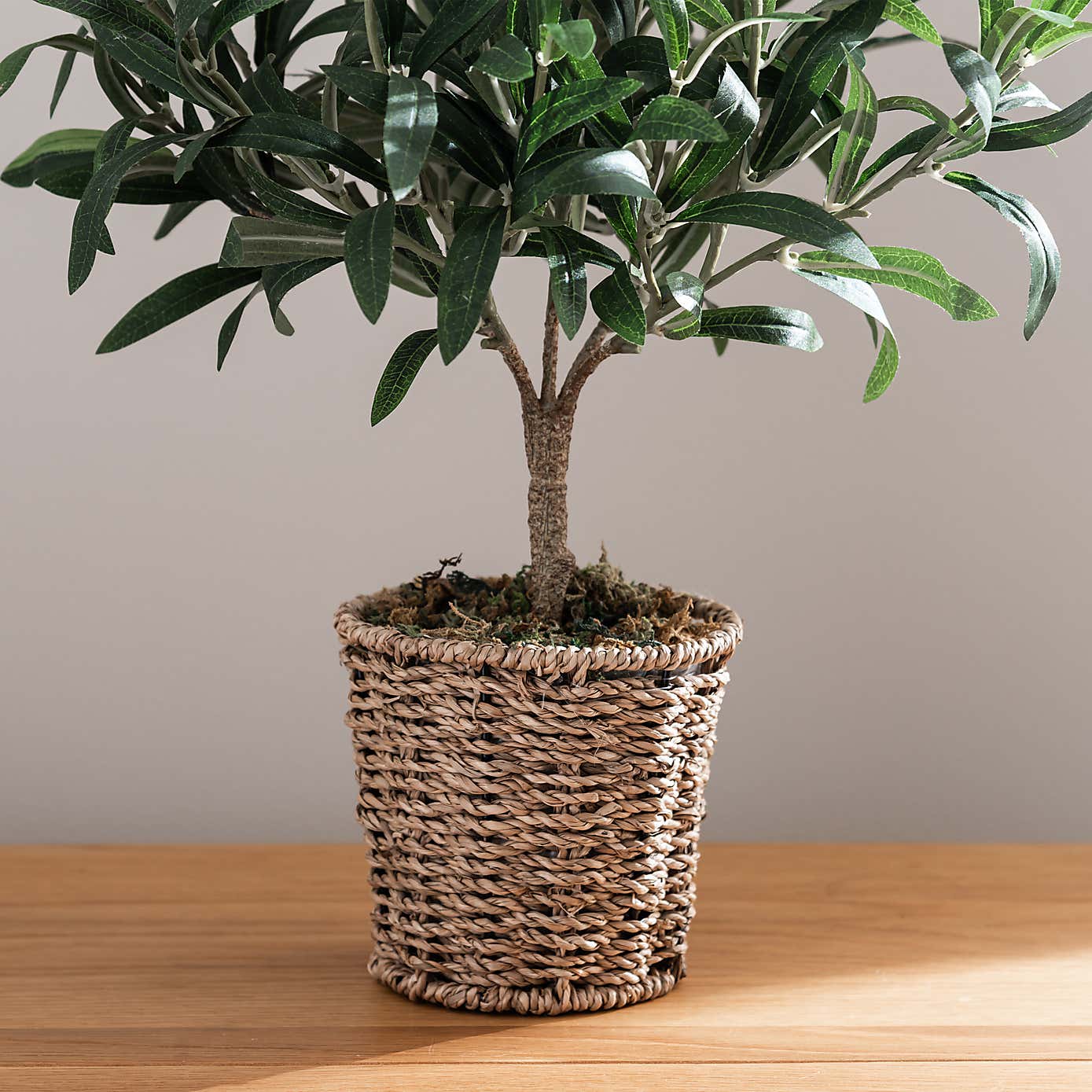 Churchgate Artificial Small Olive Tree in Woven Plant Pot