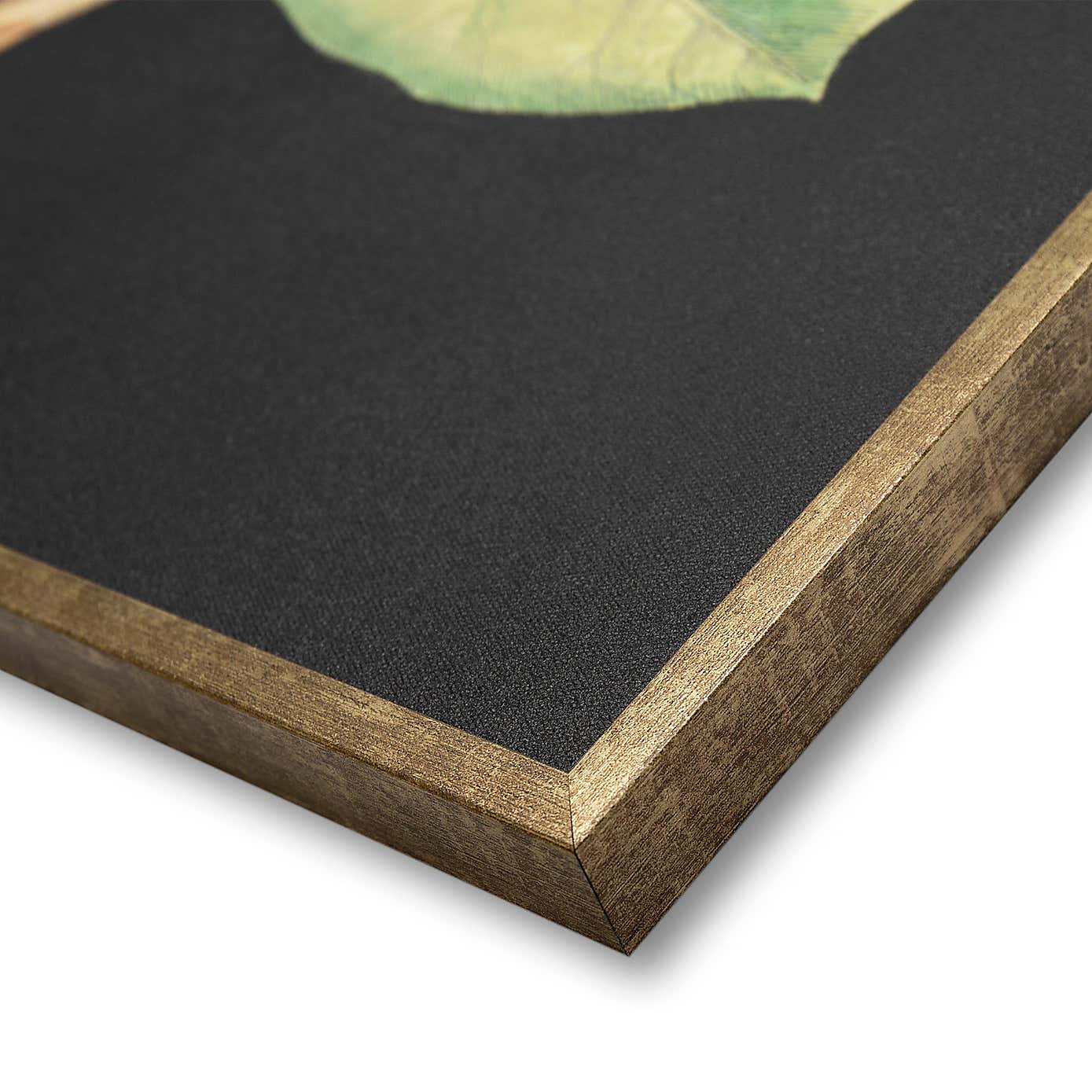 Cedar & Sage Laurel Tree Framed Canvas