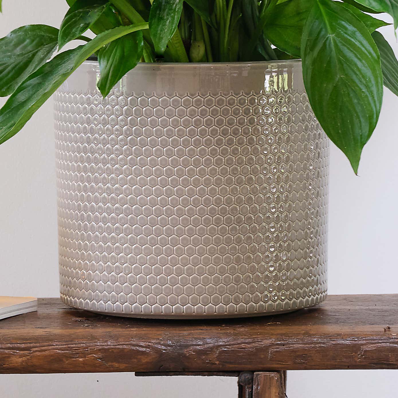 Peace Lily House Plant in Capri Pot