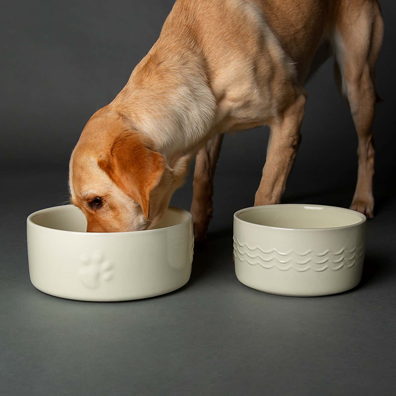 Scruffs Set of 2 Extra Large Icon Dog Bowls